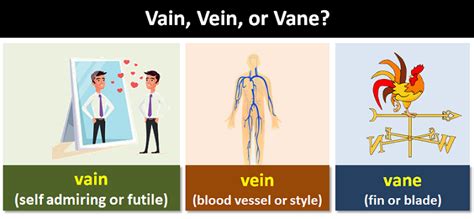 similar vein|similar vein or similar vain.